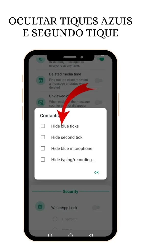 Ocultar Tiques Azuis e Segundo Tique whatsapp gb screenshot
